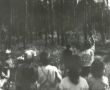 9201.Wycieczka do lasu dzieci z Przedszkola nr 2 w Gostyniu zorganizowana z okazji Dnia Dziecka (1 czerwca 1973 r.)