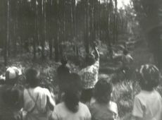 9201.Wycieczka do lasu dzieci z Przedszkola nr 2 w Gostyniu zorganizowana z okazji Dnia Dziecka (1 czerwca 1973 r.)