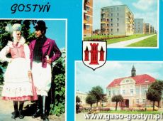9254.Pocztowka z Gostnia