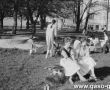 9258.Plac zabaw na walach w Gostyniu (1986 r.).JPG