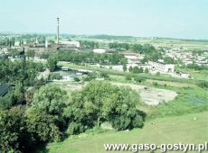 9284.Gostyn - widok z wiezy kosciola farnego (1993 r.).JPG