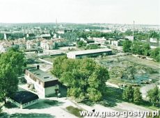 9286.Gostyn - widok z wiezy kosciola farnego (1993 r.).JPG