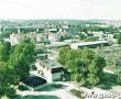 9286.Gostyn - widok z wiezy kosciola farnego (1993 r.).JPG