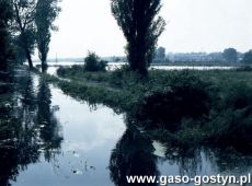 9334.Gostyn po ulewie w 1997 roku