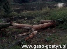 9338.Gostyn po ulewie w 1997 roku