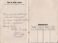 969.Ksiazeczka Miejskiej Kasy Oszczednosci w Gostyniu (1920 r.)