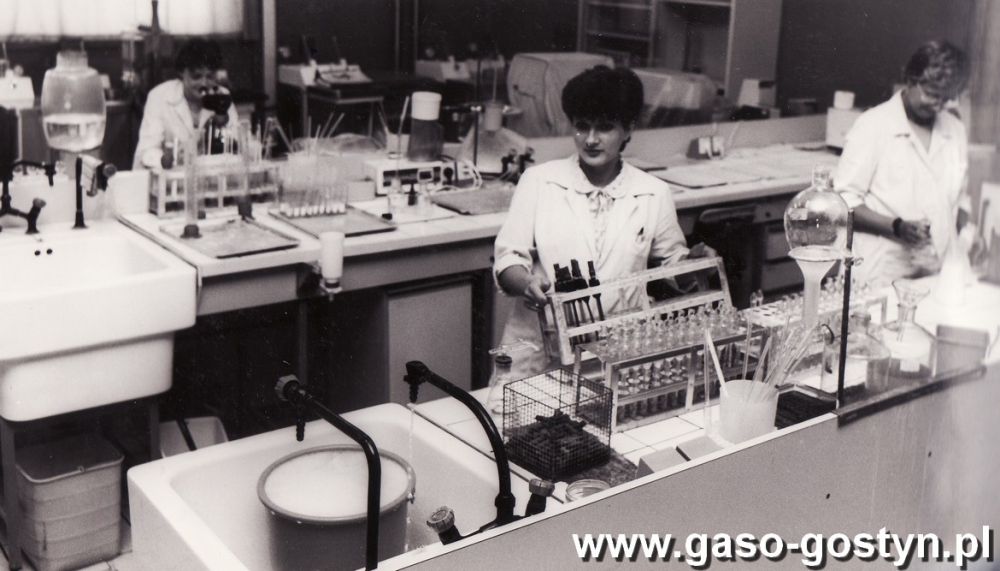Kondensownia i Proszkownia Mleka w Gostyniu ( 1981r.) - GaSo ...